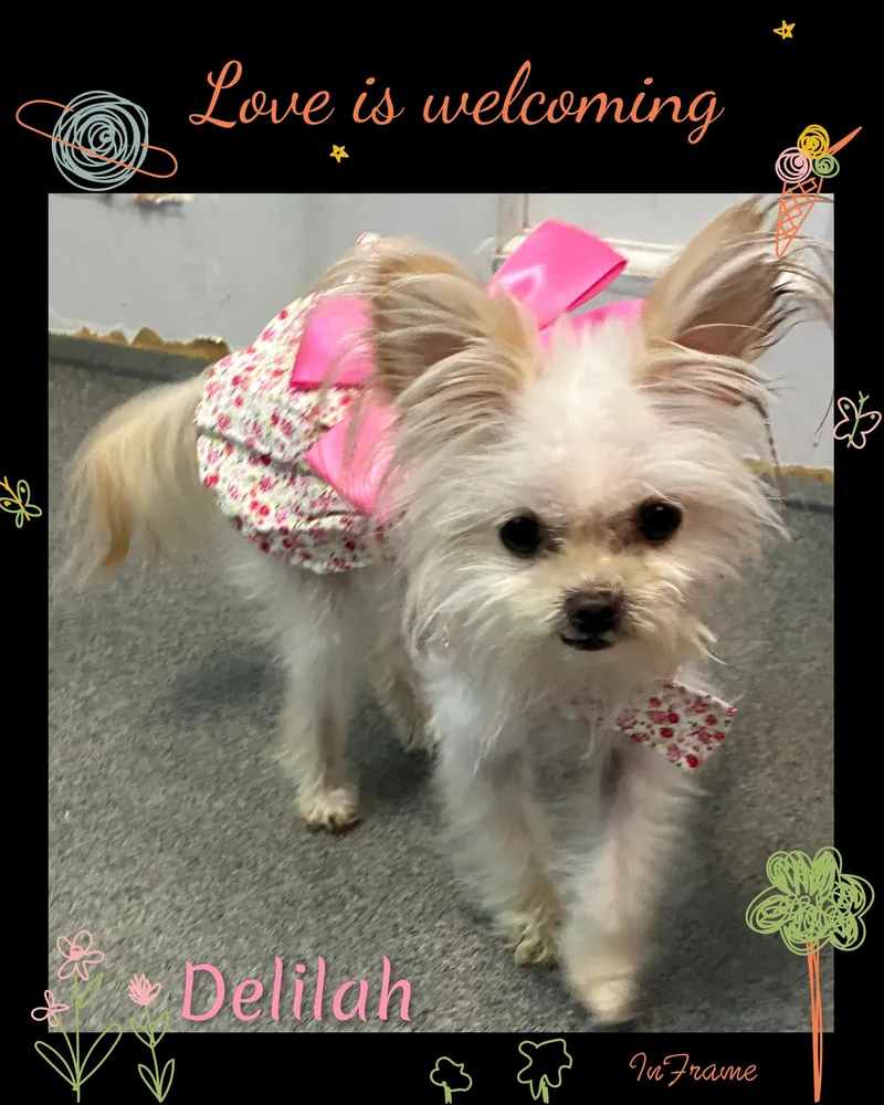 Deliliah thumbnail 2