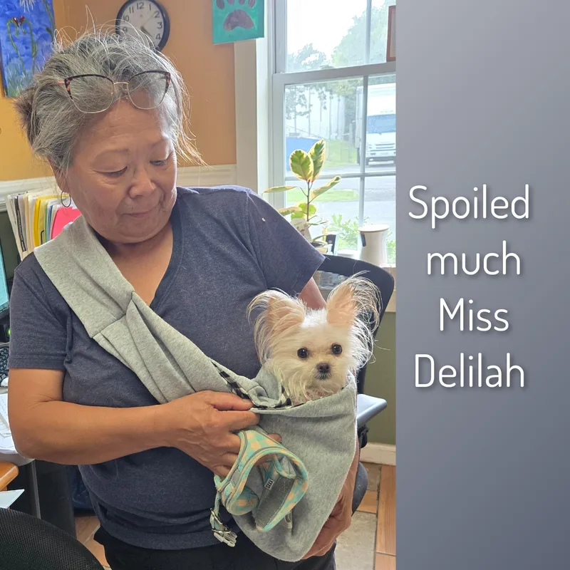 Deliliah thumbnail 6