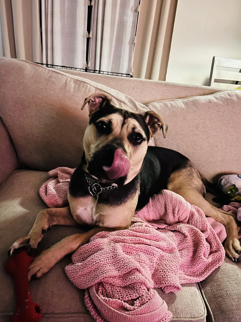 Frank