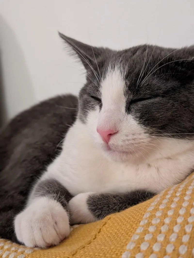 Zoey thumbnail 2