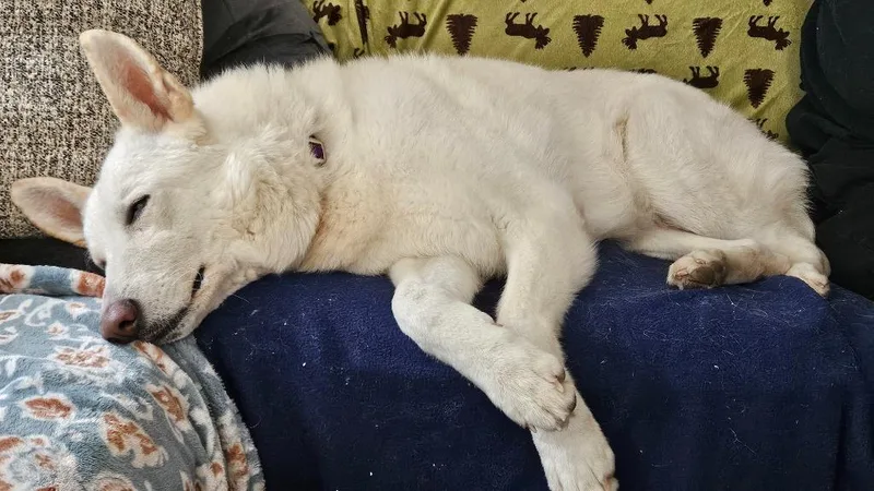 Chardonnay thumbnail 6