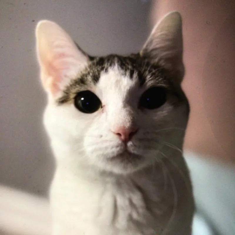 Princess thumbnail 2