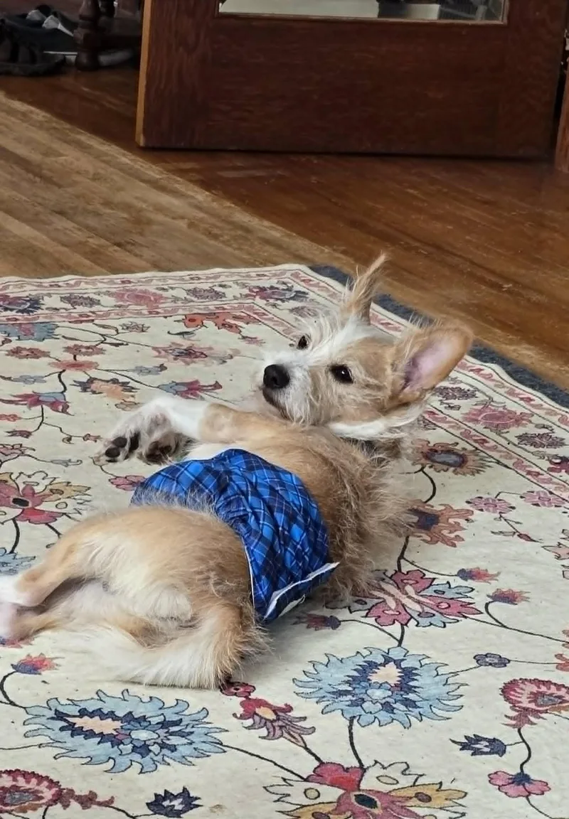 Buster thumbnail 2