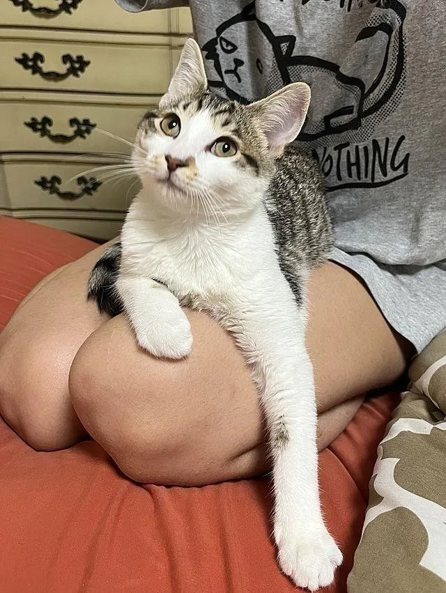 Princess Leia thumbnail 3