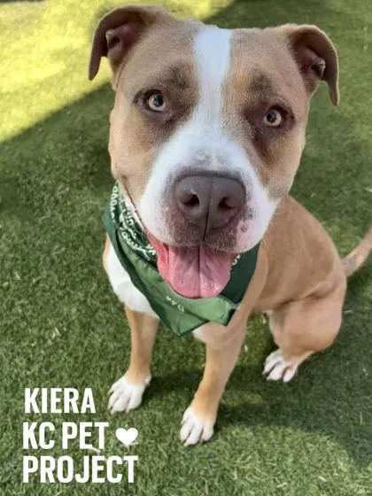 Kiera thumbnail 2