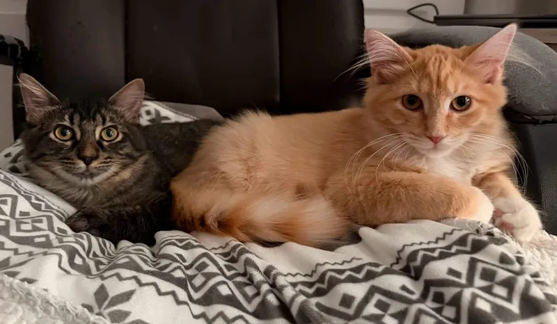 Colby & Jack