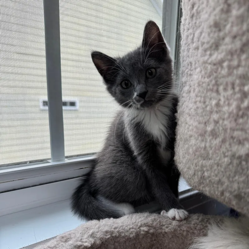 Mitzie McMittens thumbnail 3