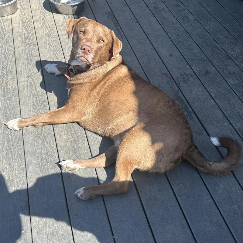 Zeus