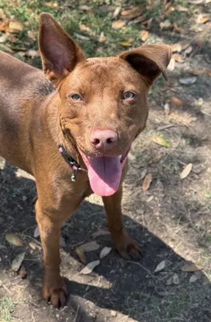 Sparks Fly thumbnail 2