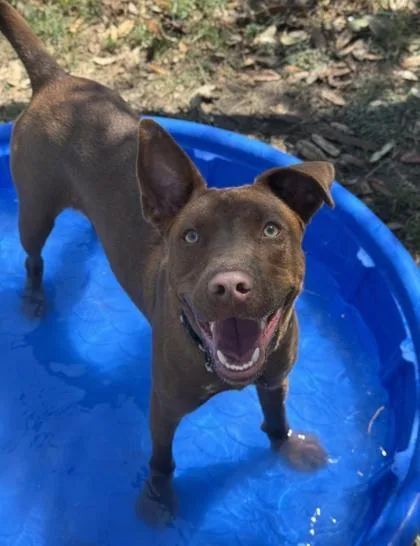 Sparks Fly thumbnail 3