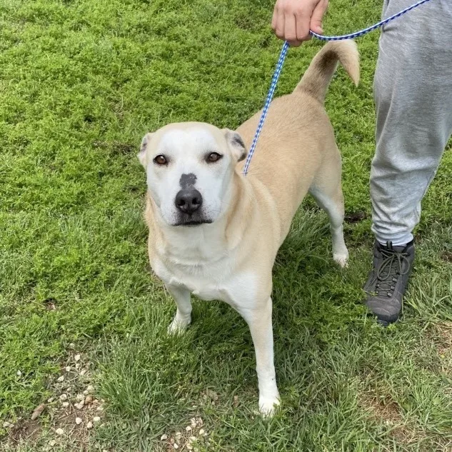 Harley Storm thumbnail 3