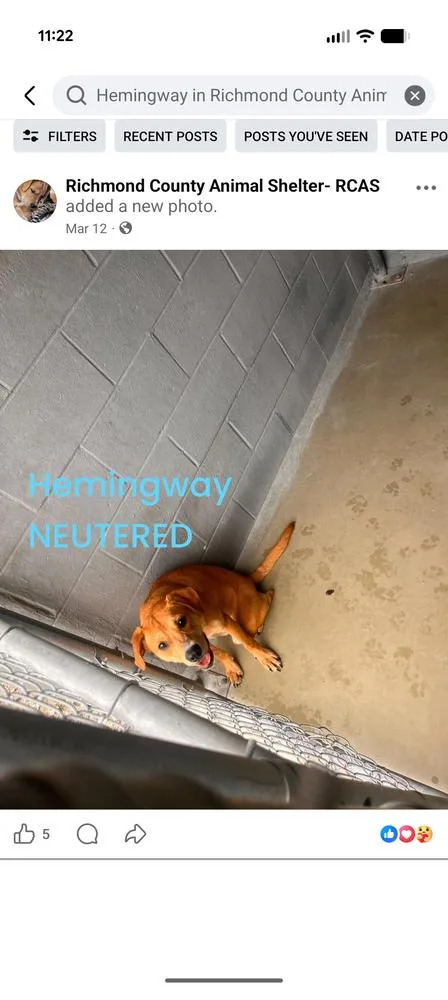 Ernie thumbnail 6