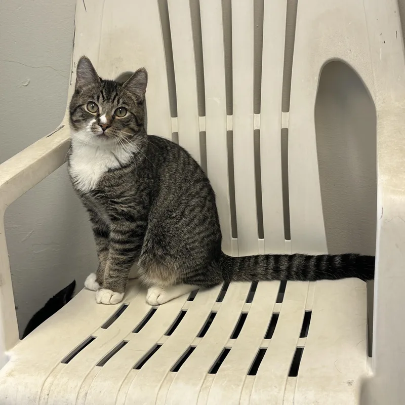 Hercules  Momma Lyra thumbnail 4