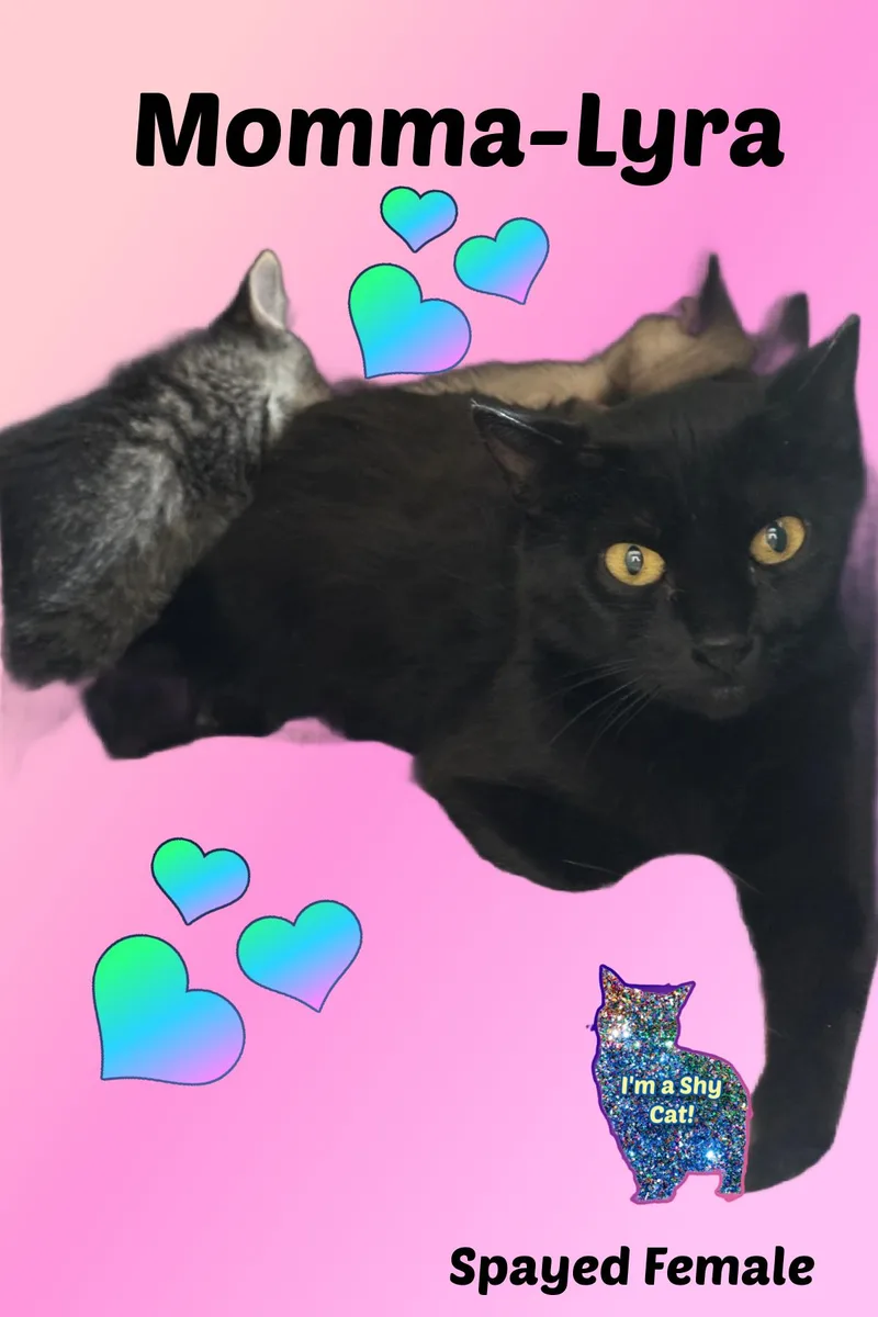 Hercules  Momma Lyra thumbnail 6