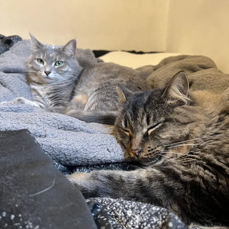 Lucy & Ethel thumbnail 2