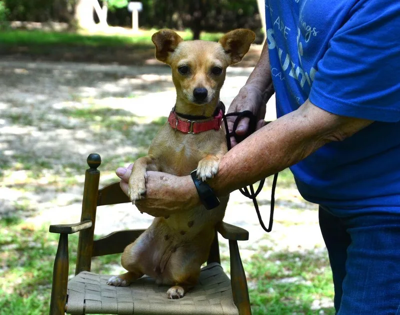 Charlee thumbnail 5
