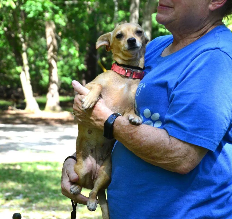 Charlee thumbnail 6