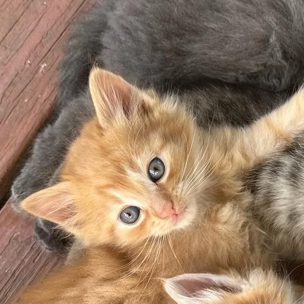Jim