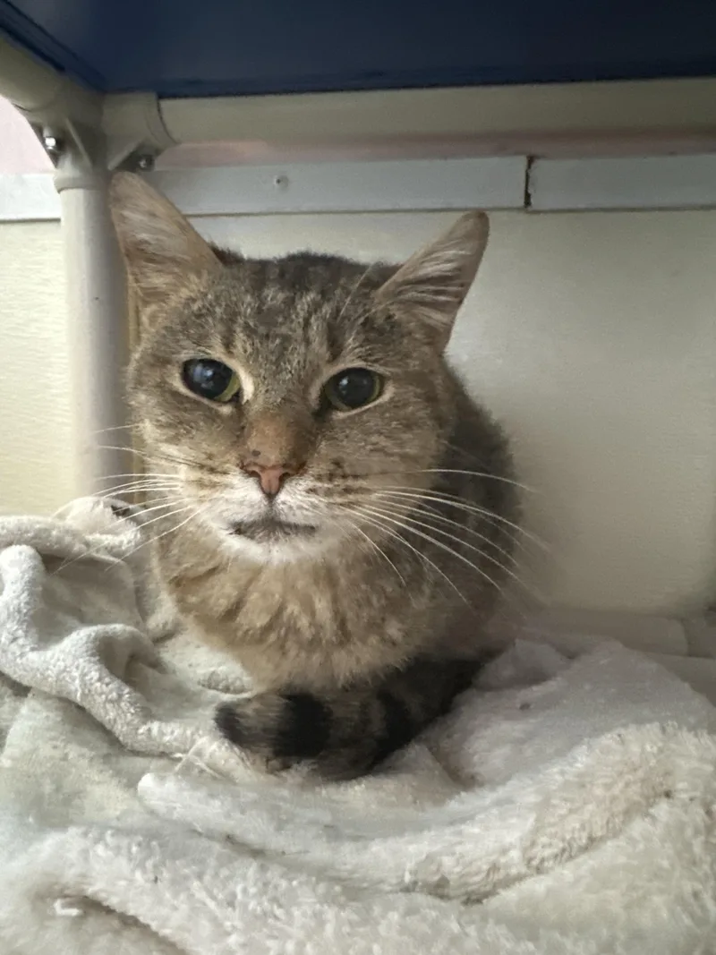 Mary Ellen thumbnail 4