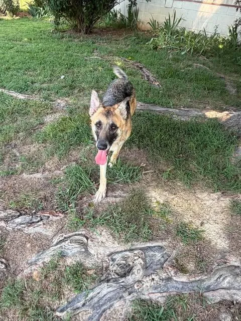 Rue thumbnail 3