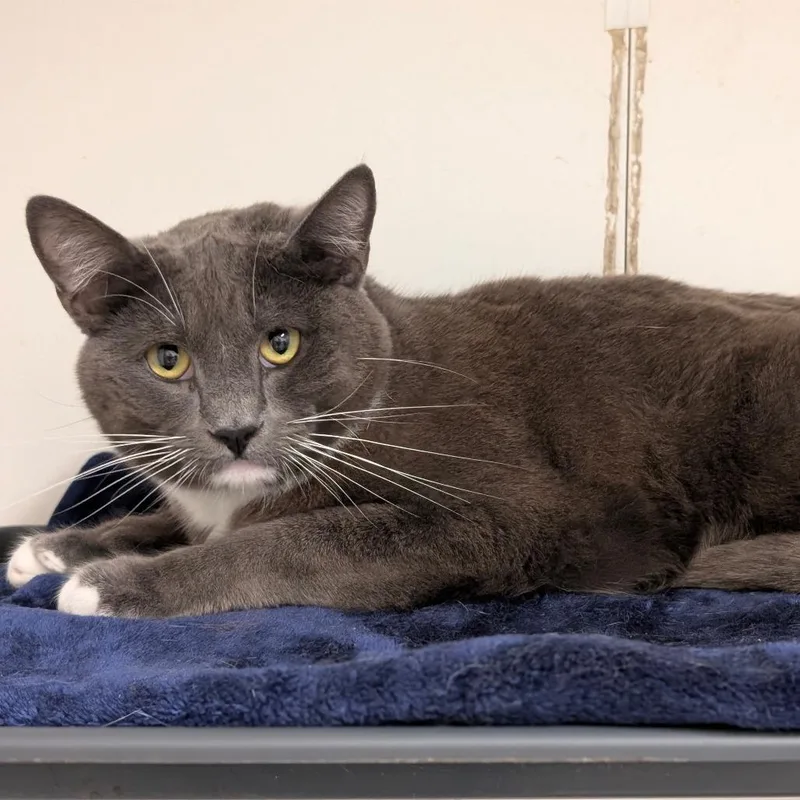 Kayson City Of Industry thumbnail 2