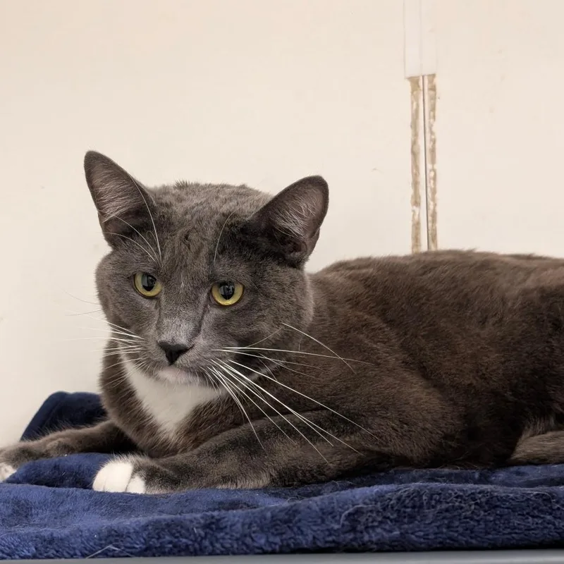 Kayson City Of Industry thumbnail 3