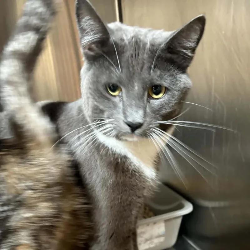 Kayson City Of Industry thumbnail 4