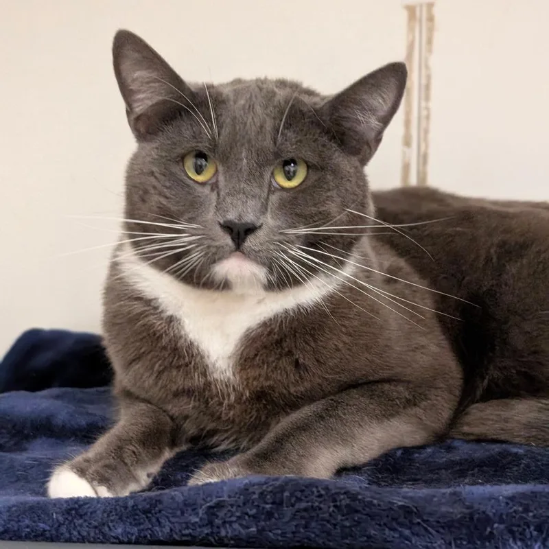 Kayson City Of Industry thumbnail 5