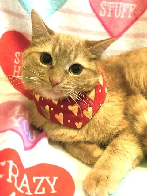 Remarkable Russell thumbnail 4