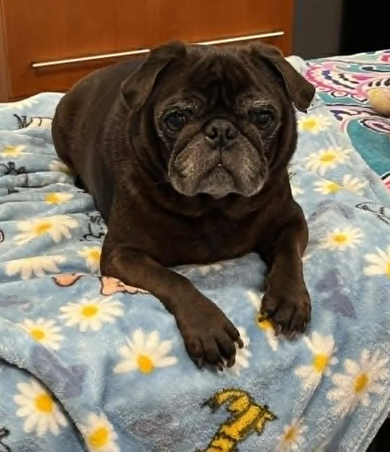 Yoda & Jabba