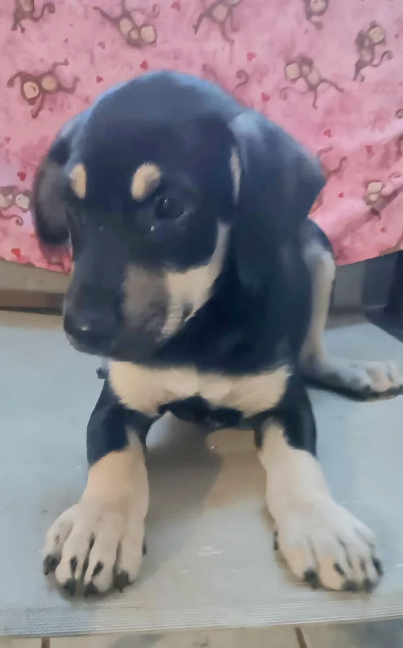 Bolt Zane In Ny thumbnail 2