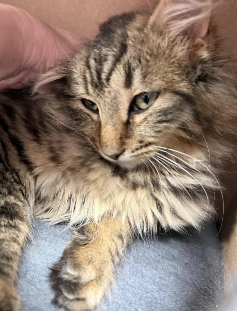 Schitt's Creek:  Johnny thumbnail 6