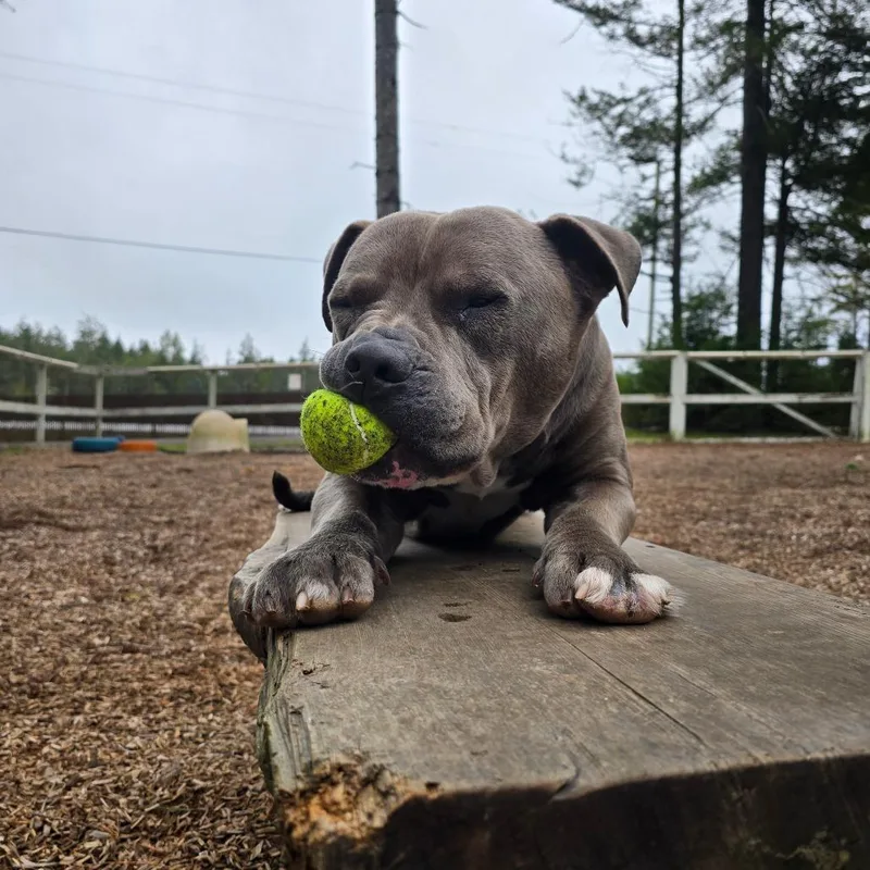 Max
