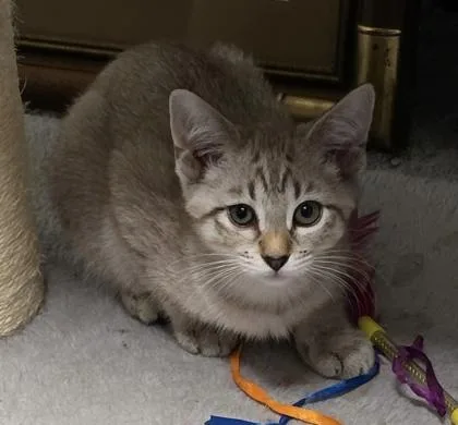 Sarah Bug thumbnail 2