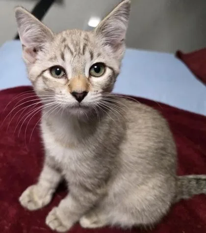 Sarah Bug thumbnail 3