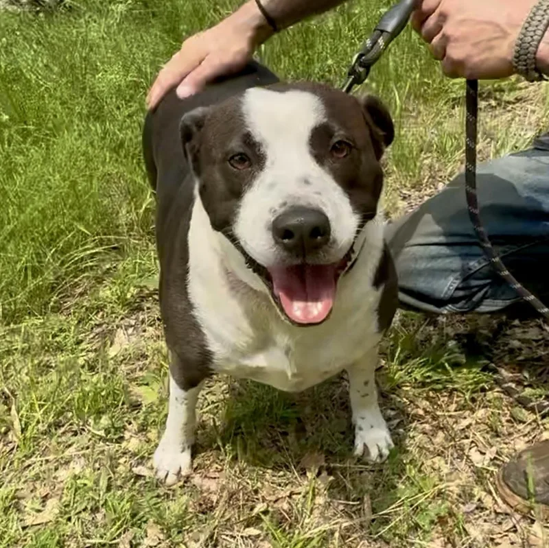 Freckles thumbnail 2