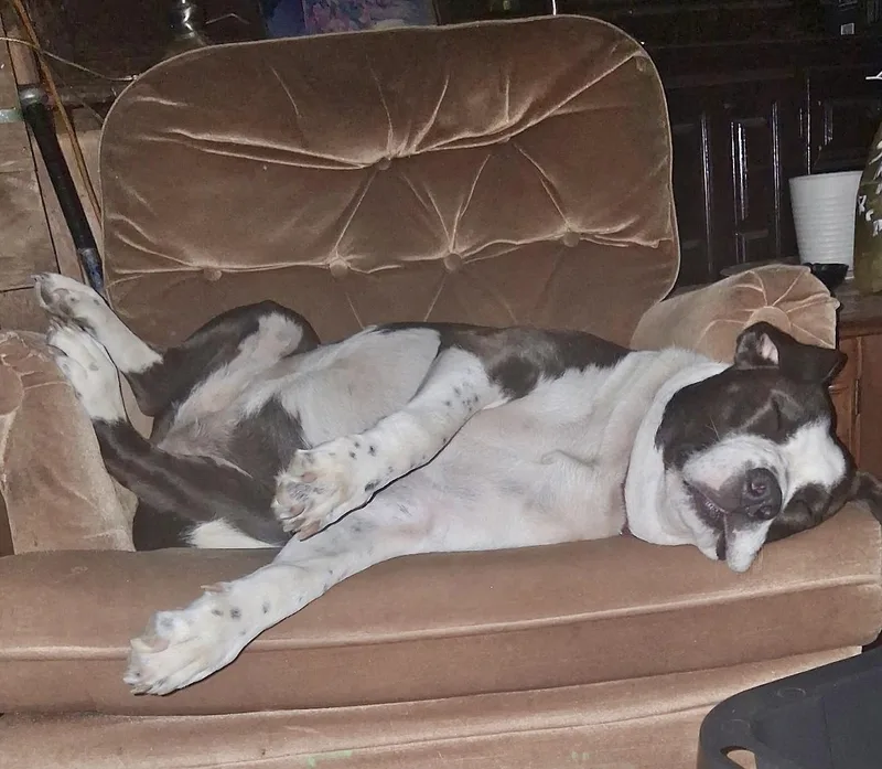 Freckles thumbnail 3