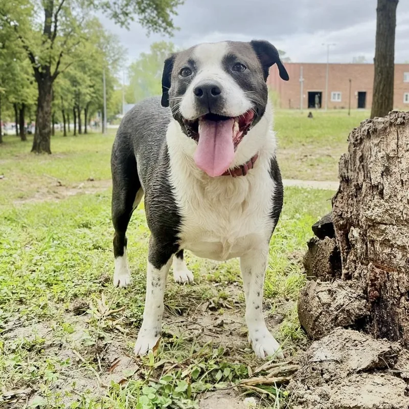 Freckles thumbnail 4