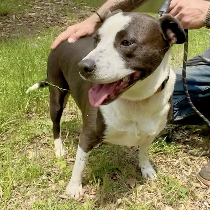 Freckles thumbnail 5