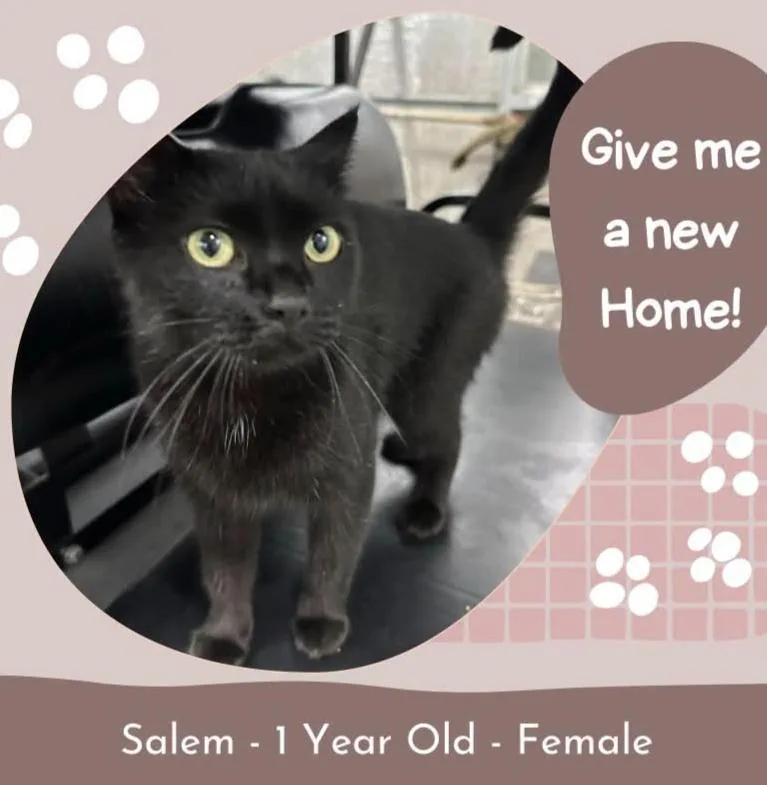 Salem