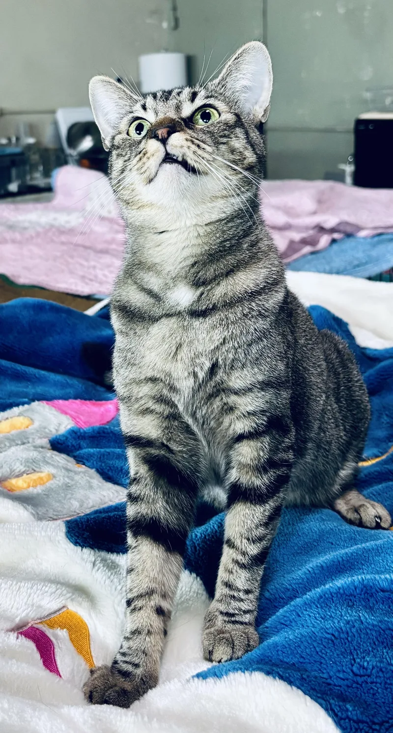 Maserati Aka Mozzy thumbnail 2