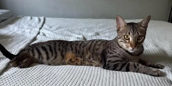 Churro & Pepito thumbnail 2