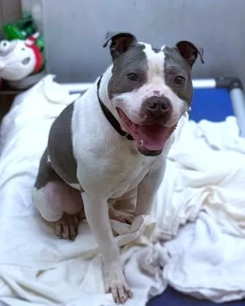 Michael B Pawdon thumbnail 2