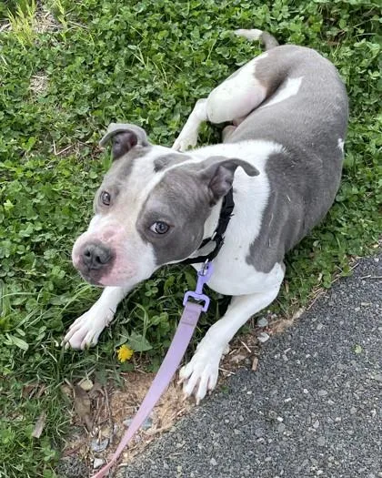 Michael B Pawdon thumbnail 3