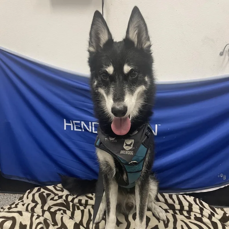 Benny