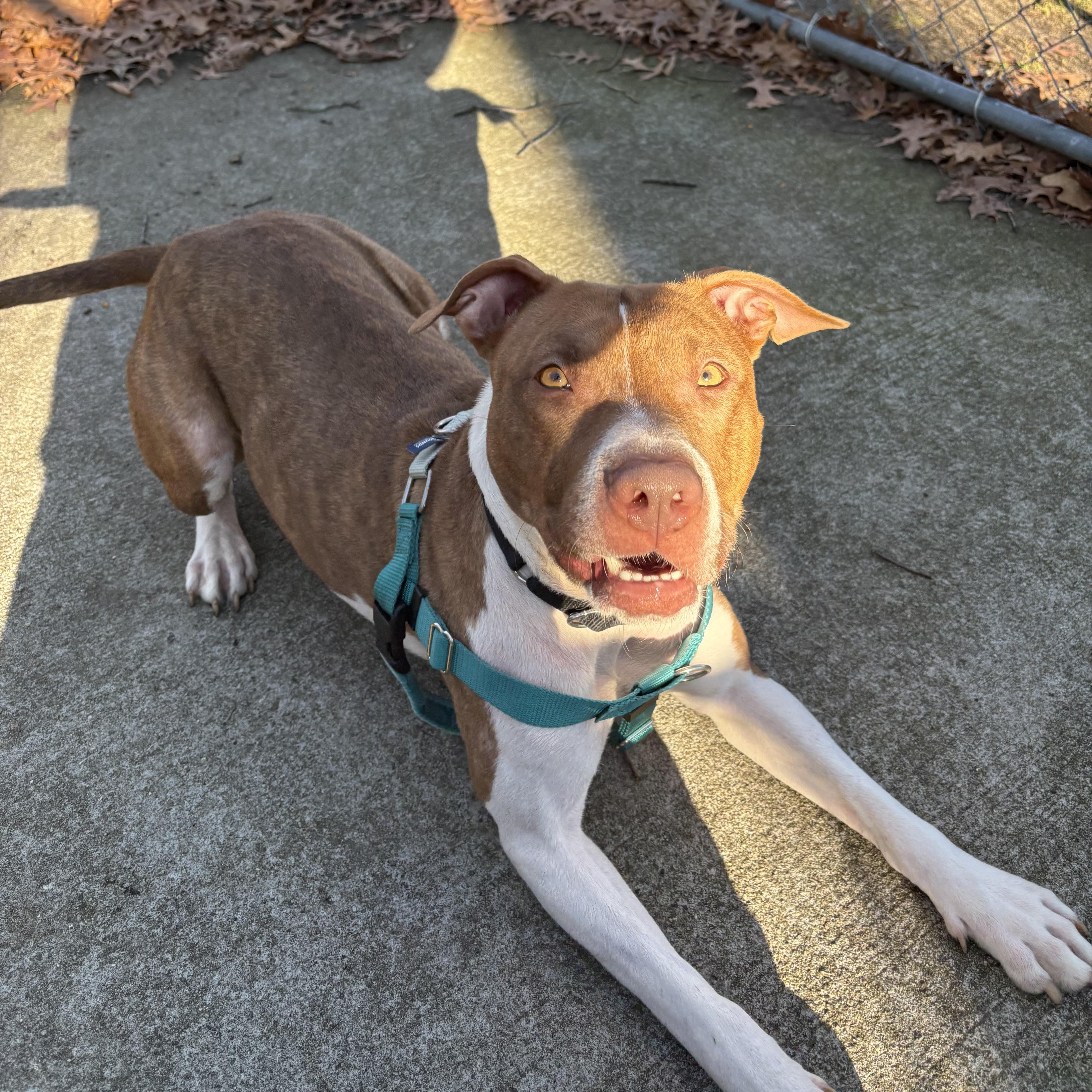 Cinnababy thumbnail 3