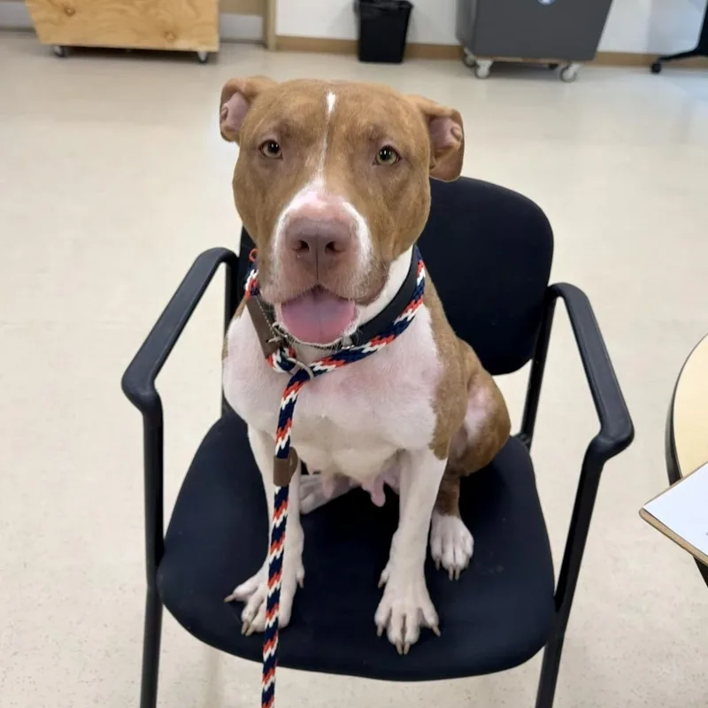 Cinnababy thumbnail 5