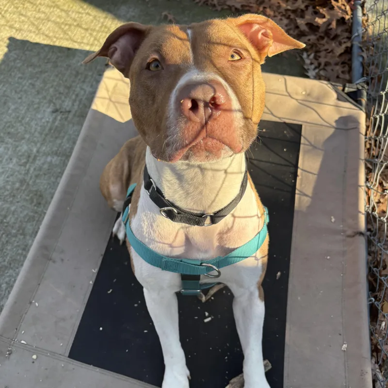 Cinnababy thumbnail 6