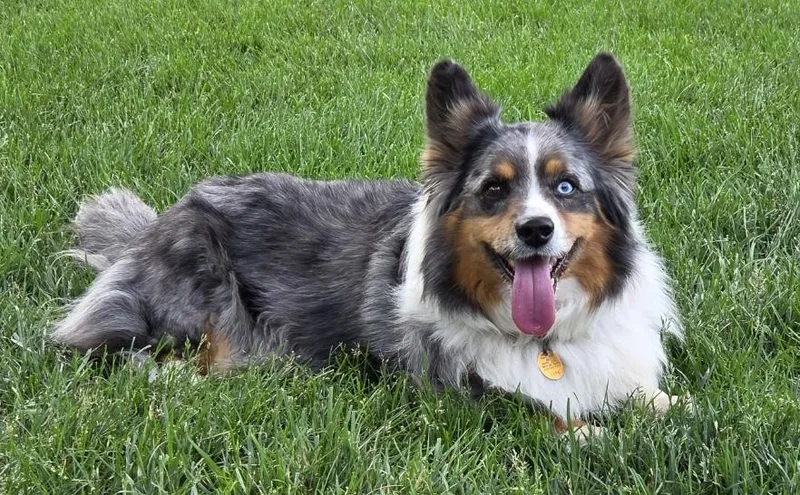 Sitka