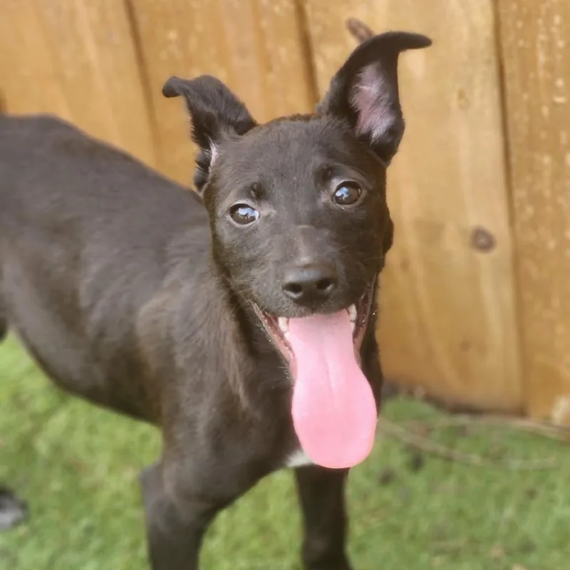 Titus Jum thumbnail 2